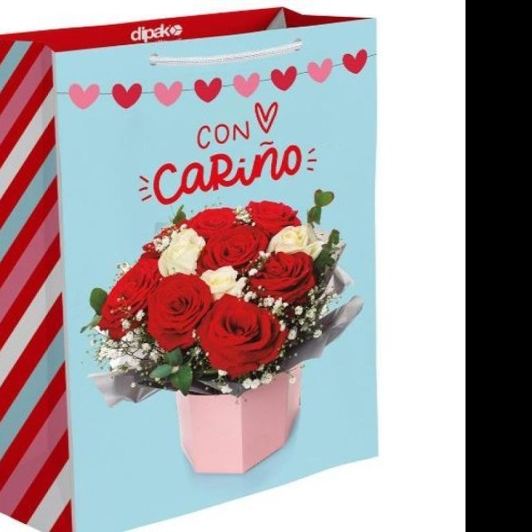 BOLSA CH. AMOR SLIC. DIPAK E.10 C.100